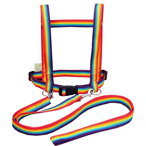 Helga Kreft Paard Speellijn Regenboog - Afbeelding 3