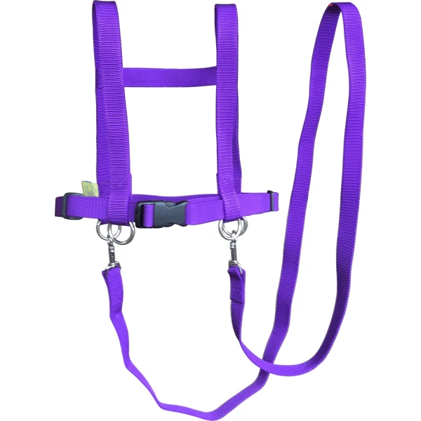 Helga Kreft Zügelmatz Paardenspeellijn, Paars - Afbeelding 3